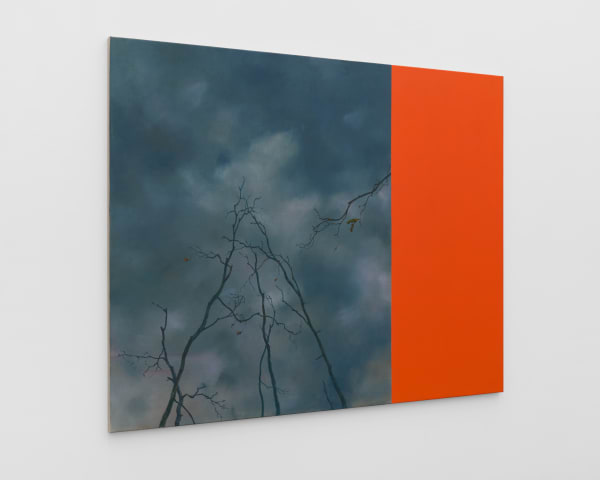 10 Nils St Rk Repro 25 05 21 Jpg Full Photo By Brian Kure