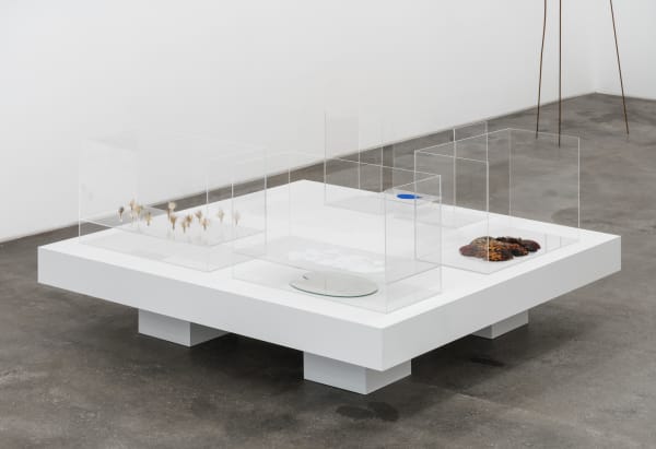 Charlotte Brüel - Invisible sculpture Bifurcated sculpture, 2022