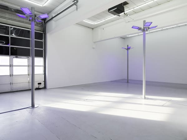 Gardar Eide Einarsson, DISTINCT FUNCTIONAL LAYERS HELP ESTABLISH HIERARCHY AND ORDER