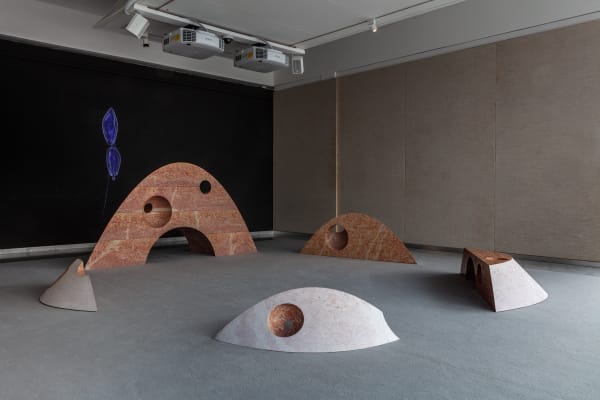 SUPERFLEX, Interspecies Assembly and Vertical Migration, Kunsten Museum of Modern Art Aalborg