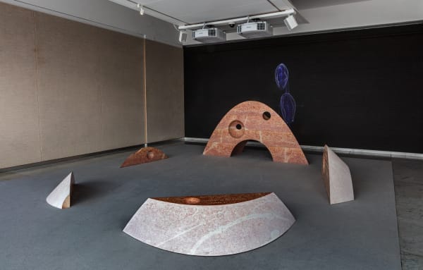 SUPERFLEX, Interspecies Assembly and Vertical Migration, Kunsten Museum of Modern Art Aalborg