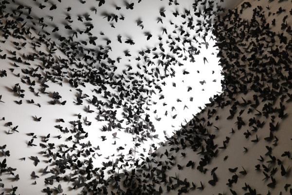 Courtesy of Phoenix Art Museum · Photo: Katie Jones-Weinert