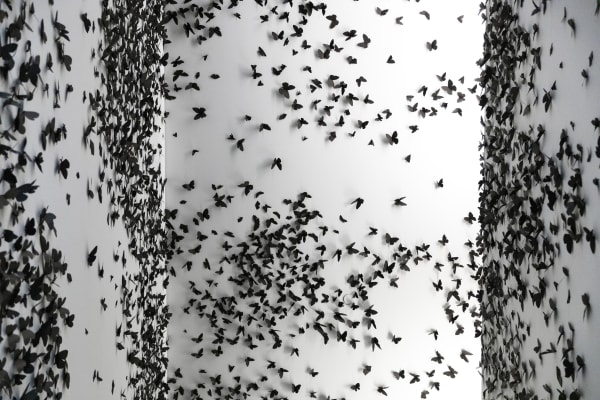 Courtesy of Phoenix Art Museum · Photo: Katie Jones-Weinert