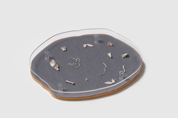 Charlotte Brüel, Haiku Object No more opinions (2012-2015) Acrylic glass, hedgehog skeleton regurgitated by an owl, felt, mdf plate, 4,5 x 29 x 37 cm Photo: David Stjernholm