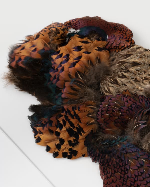 Charlotte Brüel, Invisible sculpture (2020) Acrylic glass, pheasant feathers, 45 x 36 x 76 cm Photo: David Stjernholm