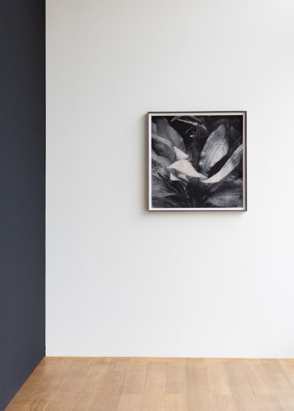 Yulia Mahr Unbecoming Wehrmuehle Lb Agency Highres Simi 016