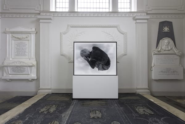 Installation View Yulia Mahr Speaking In Dreams Photo Compton Verney And Jamie Woodley 25