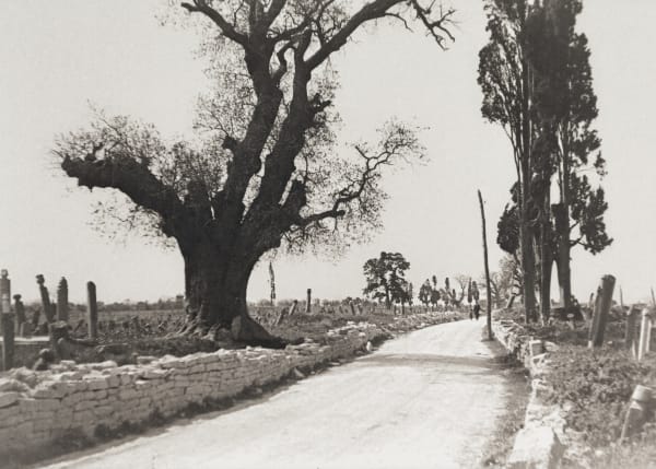 Avni Lifij Surdışı Mezarlık Surdışı Cemetery