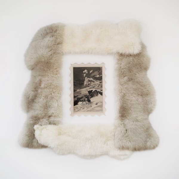 Still Lifes Off : With the participation of Carlo Benvenuto Mario Dellavedova