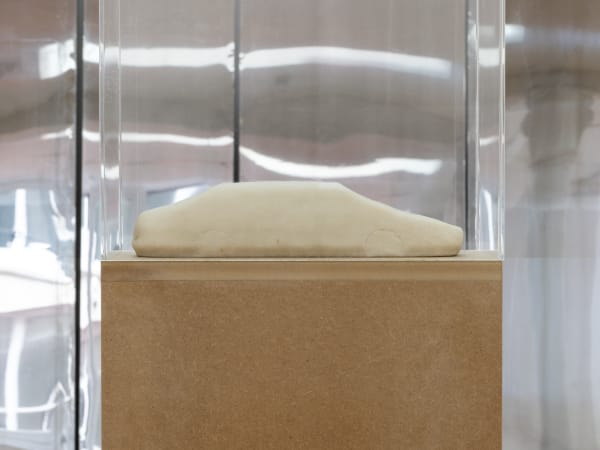 Renato Leotta Gita, 2025 marzipan and display case 42 x 37 x 28 cm