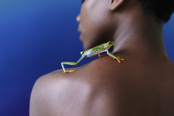 FROG & BLEU BACK, 2025 66,7 x 100 cm