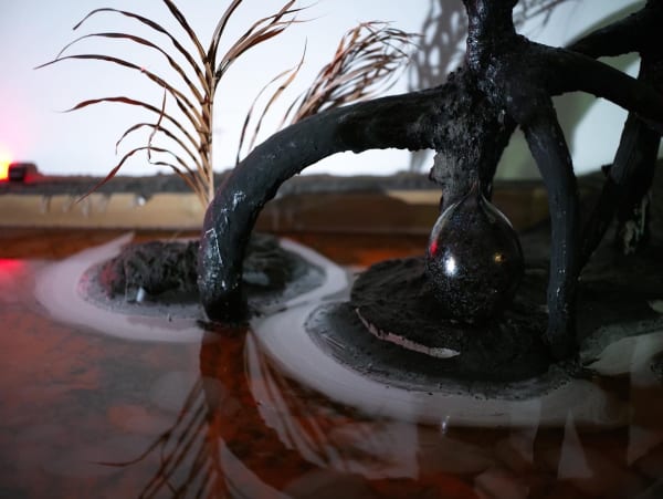 30476C75 949E 460F 9B58 05C1D3D67E09