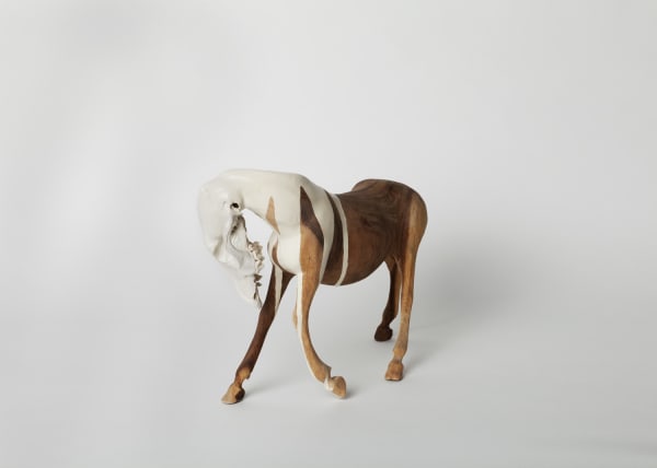 Between A Horse And A Cat