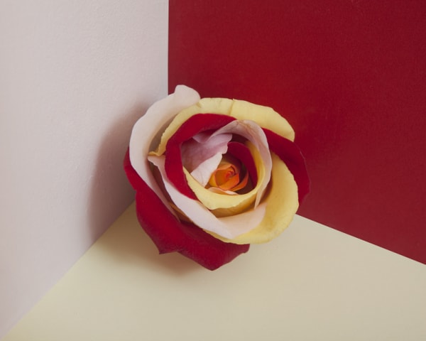 Liat Elbling For Each Time I Wanted To Leave 5