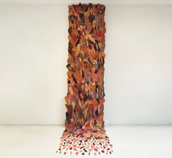 Beyond the Forest, 2024