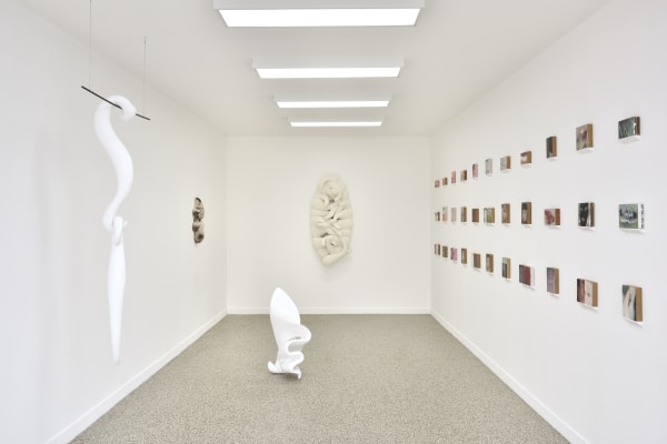 Photo © Rebecca Fanuele