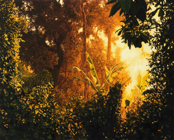 BRUNO GADENNE