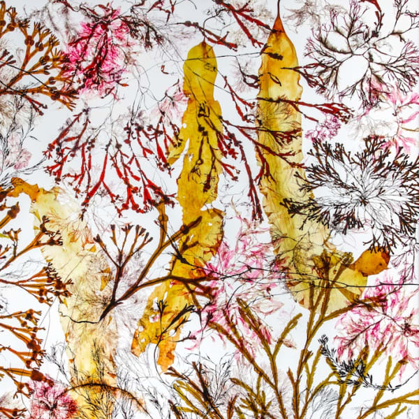 Space Odyssey Astrid Krogh