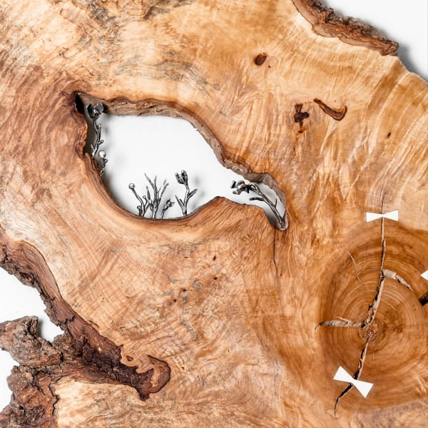 Laura Bergsøe TREE TALES