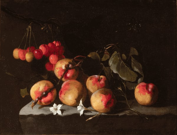 Luca Forte (Napoli1600/1605 – 1670) , Peaches and cherries and jasmine flowers, 1640 ca
