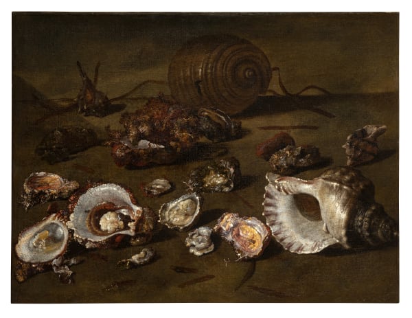 Paolo Porpora ( Naples, 1617 - Rome, 1673 ) , Still life of shells and oysters on a beach