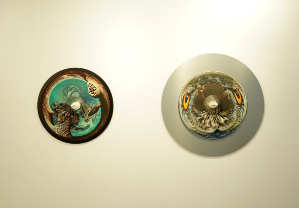 Process Show Jonty 3