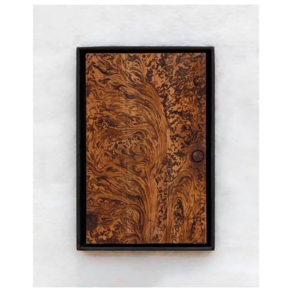 Coral Harding - Of The Wind, 2023