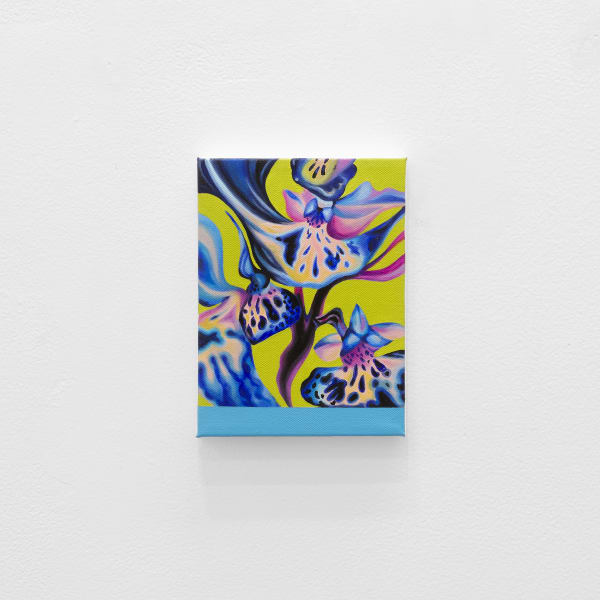 5 50 Gallery 061525 14 Jpeg 72Dpi Web Use