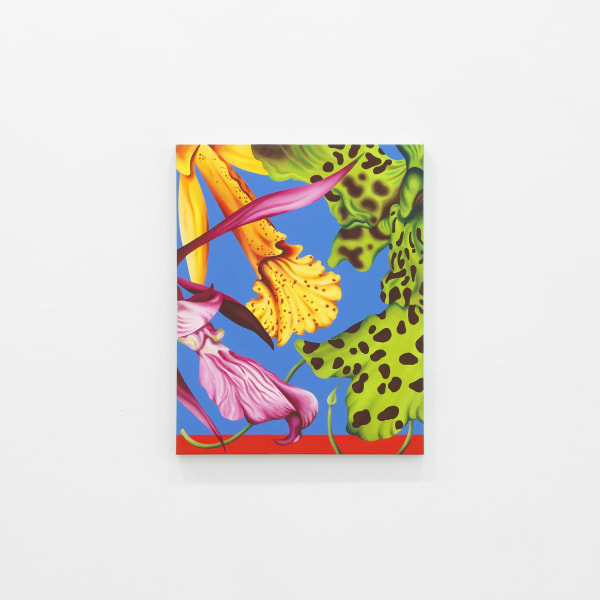 5 50 Gallery 061525 21 Jpeg 72Dpi Web Use