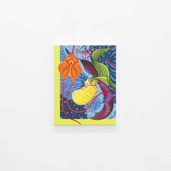 5 50 Gallery 061525 22 Jpeg 72Dpi Web Use