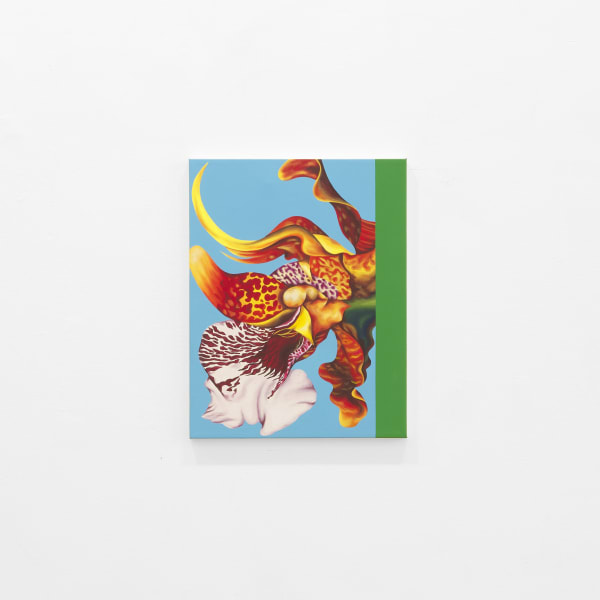 5 50 Gallery 061525 24 Jpeg 72Dpi Web Use