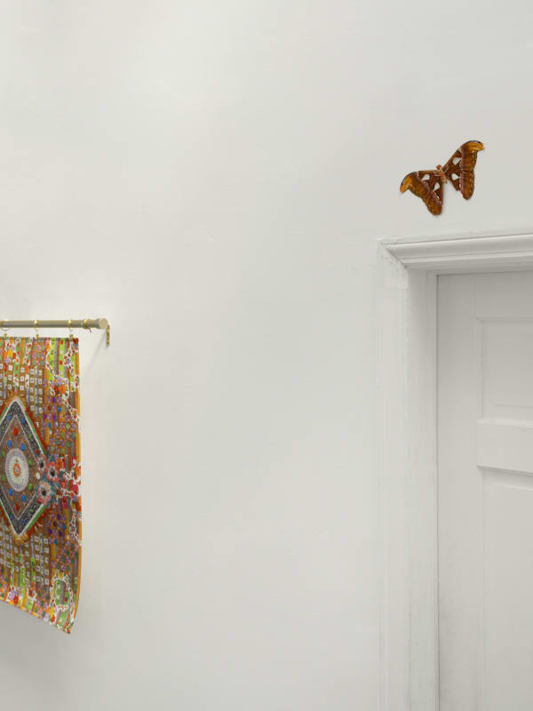 550Gallery 090625 24 Jpeg 72Dpi Web Use