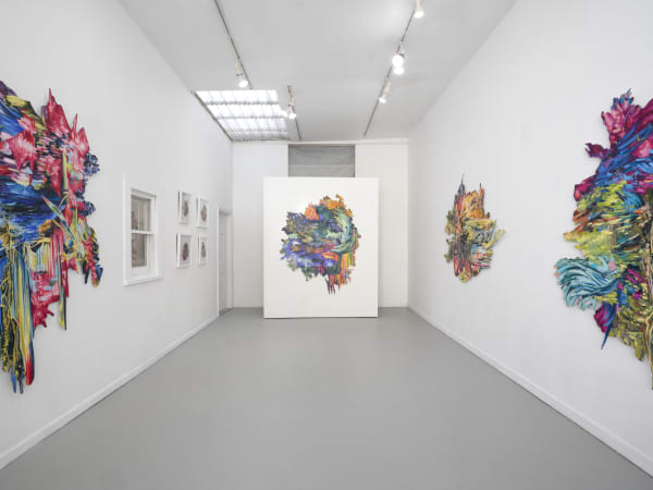 5 50 Gallery 1 Jpeg 72Dpi Web Use