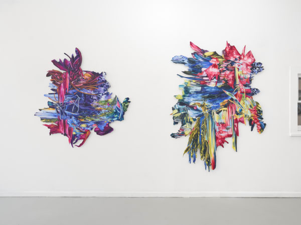 5 50 Gallery 6 Jpeg 72Dpi Web Use