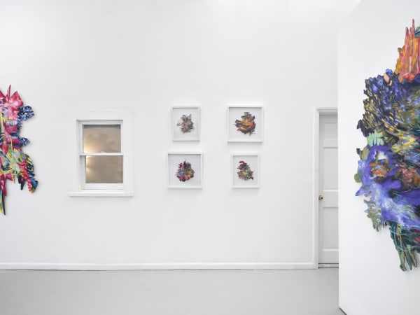 5 50 Gallery 7 Jpeg 72Dpi Web Use