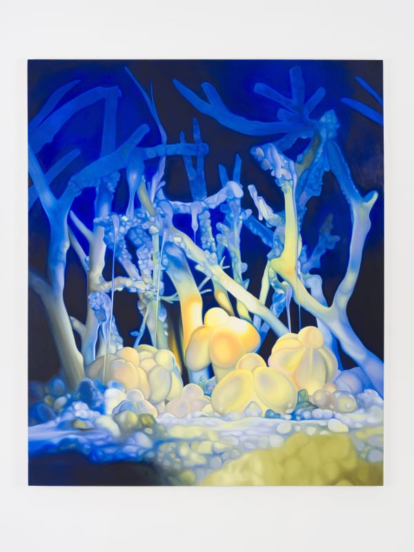 Hannah Antelek: Superseed