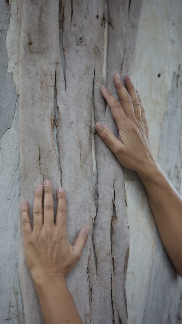 Bianca Severijns, paper art, paper artists, contemporary art, contemporary artist, artwork, inspiration, eucalyptus, hands