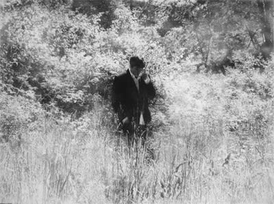 Narcissus (August Narcissus), 2008 Powdered graphite on paper 22 x 28 inches