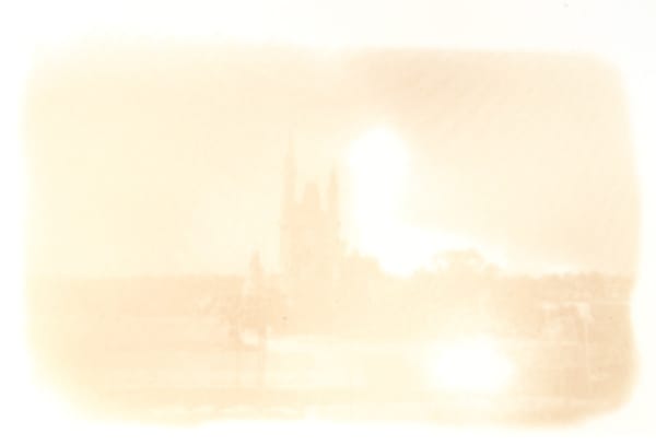 Magic Kingdom, 2008 Nicotine on paper 20 x 16 inches