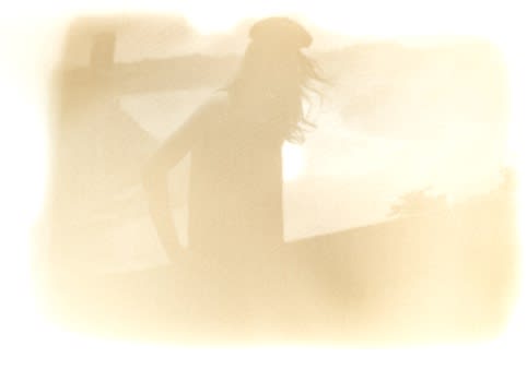 Niagara, 2008 Nicotine on paper 20 x 16 inches