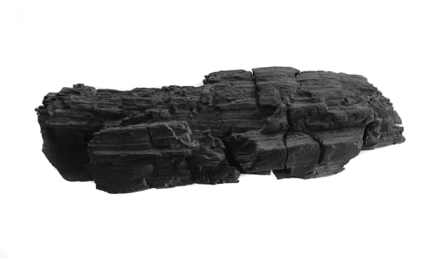Burnt log, 2013 Bronze 12 x 3 x 2 inches