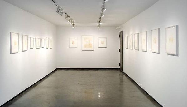 Nicotine Dream Paul Kasmin Gallery, New York, NY