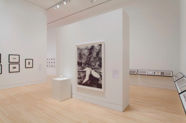 Graphite Indianapolis Museum of Art, Indianapolis, IN