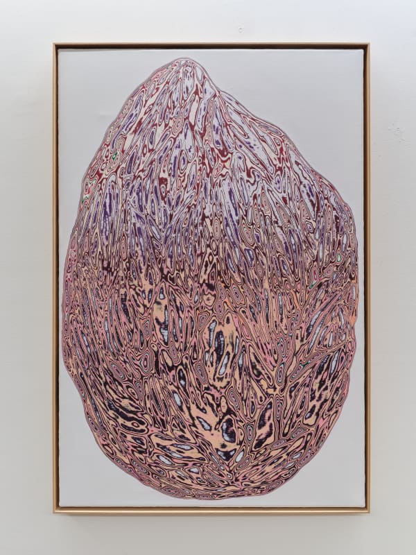 2025 10 14 Sept B 5810