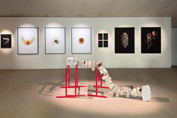 Cracks of Potential ©Victor Guerin