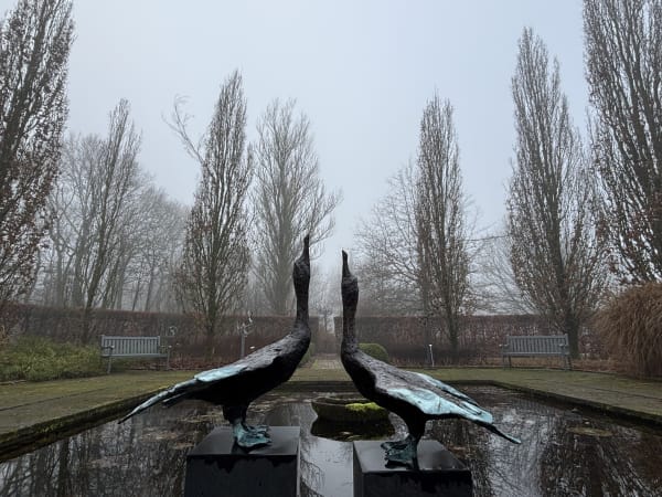 Wintertuin Beeld: Jonneke Kodde