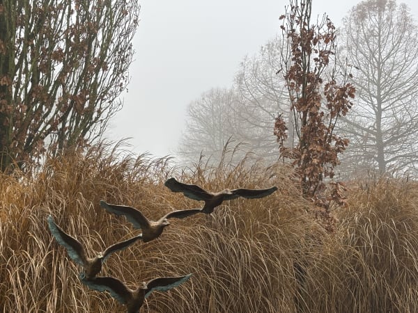 Wintertuin Beeld: Jonneke Kodde