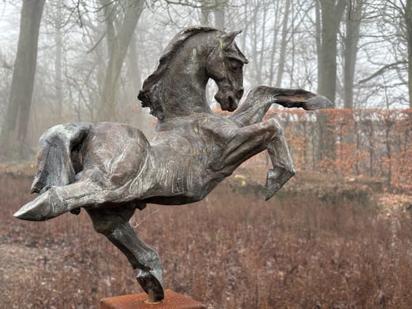 Wintertuin Beeld: Jos Dirix