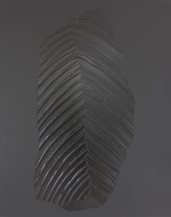 Chavannes-Renens, 2024