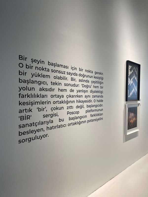 Poscop Ataturk Kultur Merkezi Sergi 019